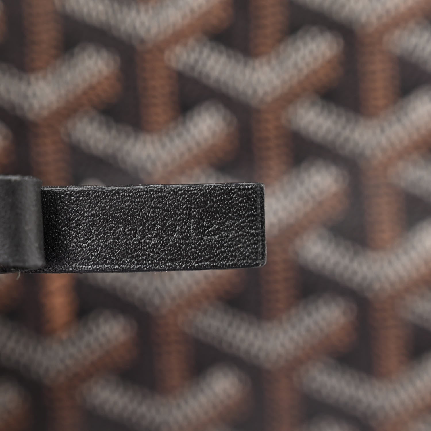Goyard Goyardine Saint Louis PM Black 8 of 19