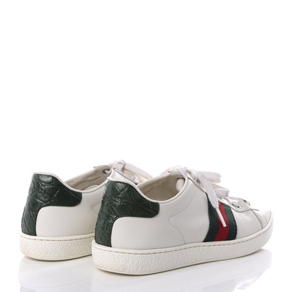 Gucci Calfskin Crocodile Web Ace Sneakers 36.5 White Green 4 of 8