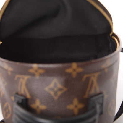 Louis Vuitton Monogram Palm Springs Backpack Mini 5 of 11