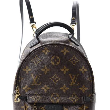 Louis Vuitton Monogram Palm Springs Backpack Mini 13 of 13
