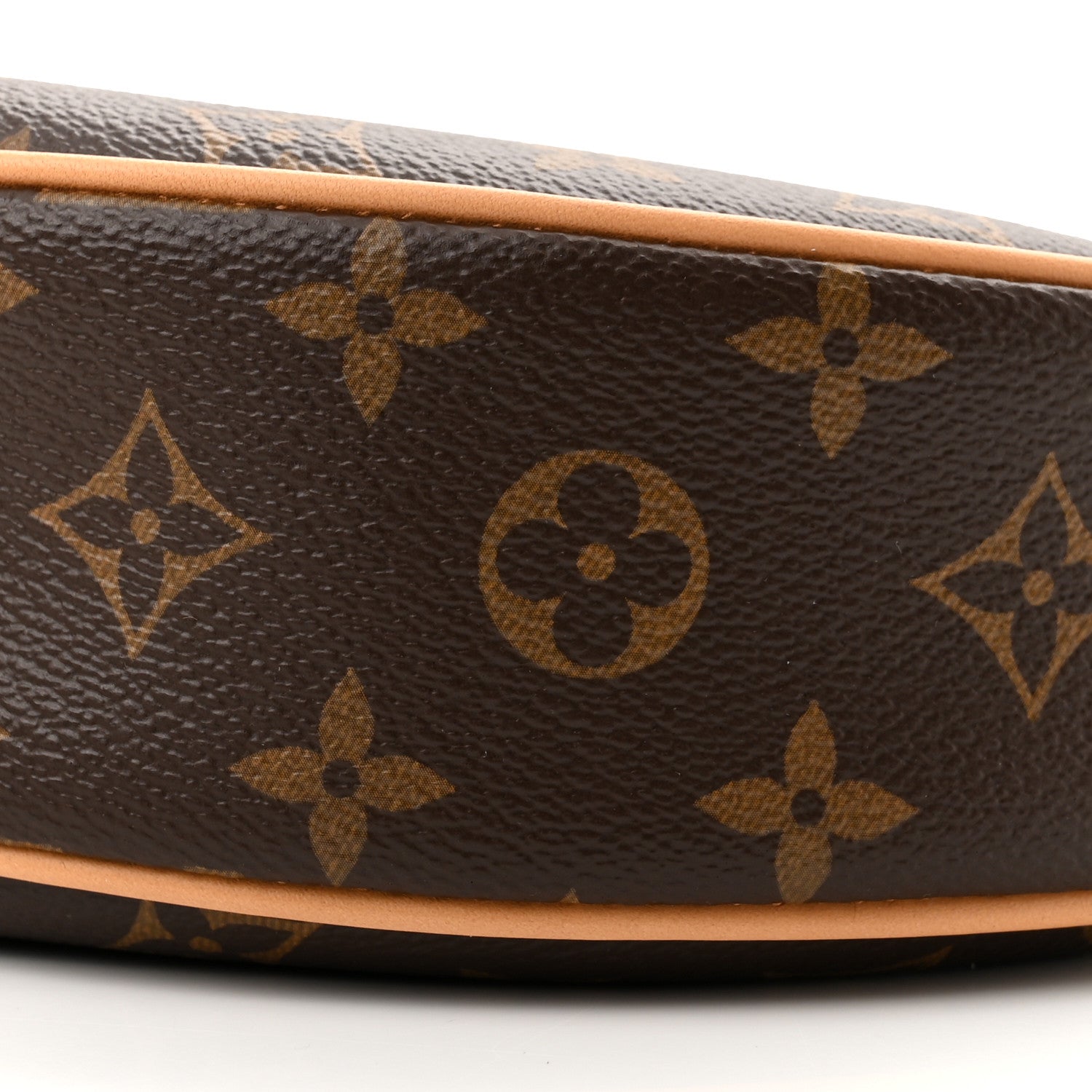 Louis Vuitton Monogram Loop 9 of 10