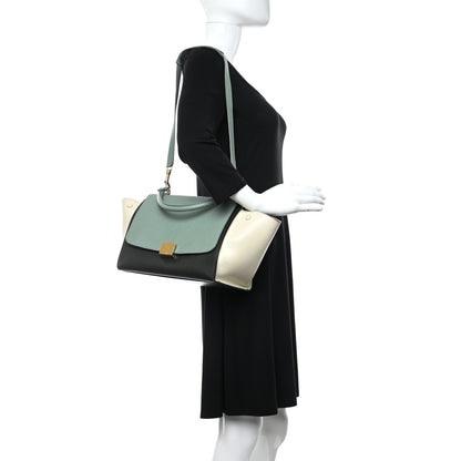 Celine Bullhide Calfskin Small Tri-Color Trapeze Jade 2 of 5