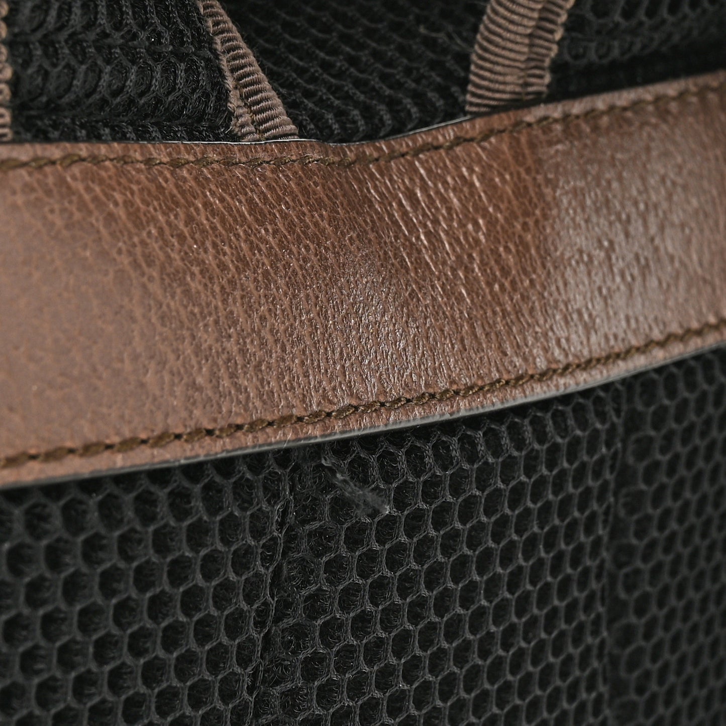 GG Supreme Monogram Calfskin Web Small Ophidia Day Backpack Beige Ebony New Acero