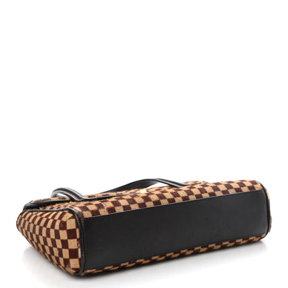 Louis Vuitton Damier Calf Hair Sauvage Lionne 3 of 14