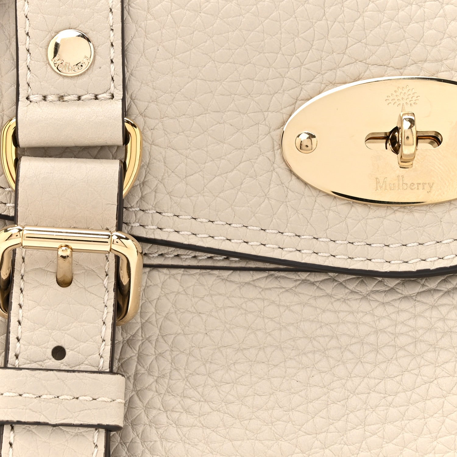 Mulberry Heavy Grain Mini Alexa Chalk 7 of 10