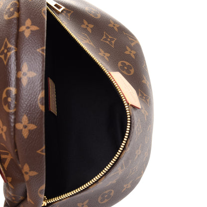Louis Vuitton Monogram Bumbag 5 of 11