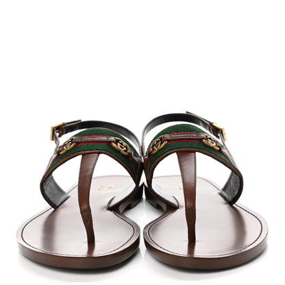 Gucci Calfskin Web GG Thong Sandals 35.5 Ebony 2 of 7