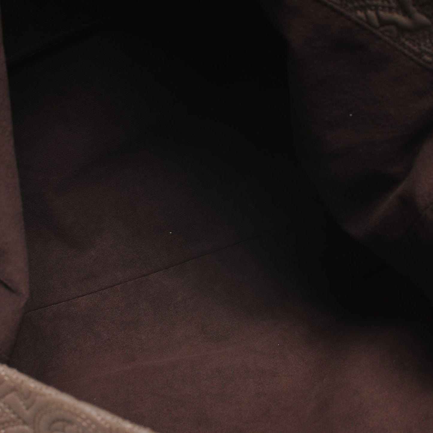 Monogram Lambskin Antheia Hobo PM Fumee