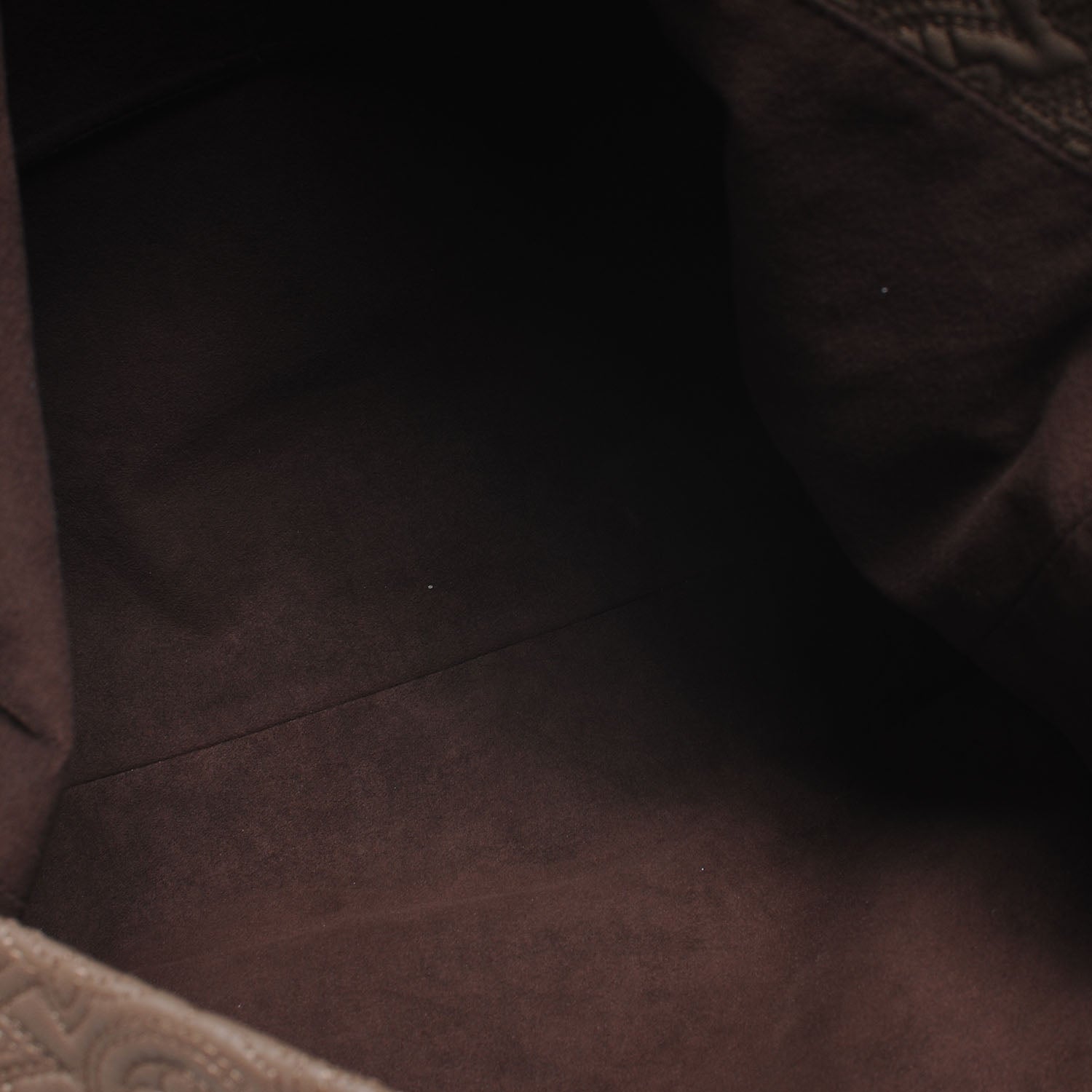 Louis Vuitton Monogram Lambskin Antheia Hobo PM Fumee 5 of 8