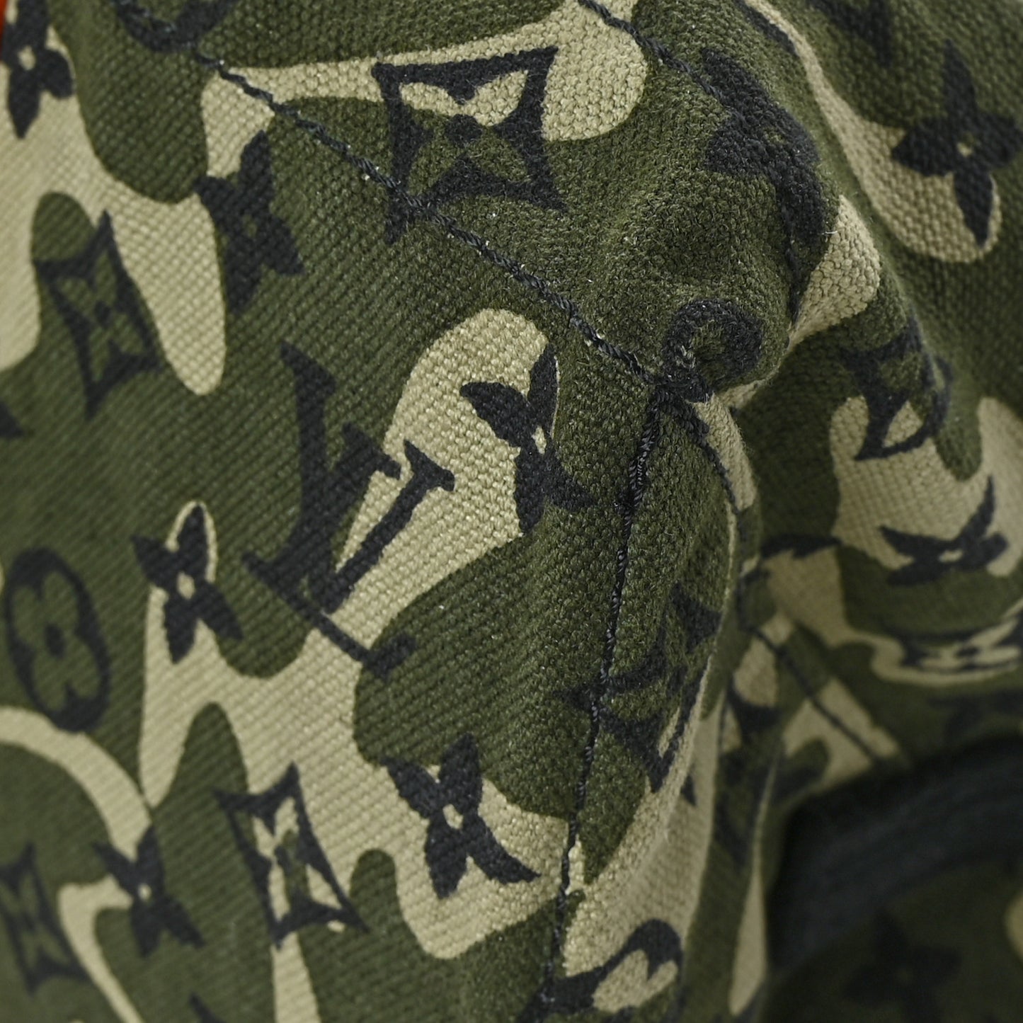 Canvas Monogramouflage Treillis