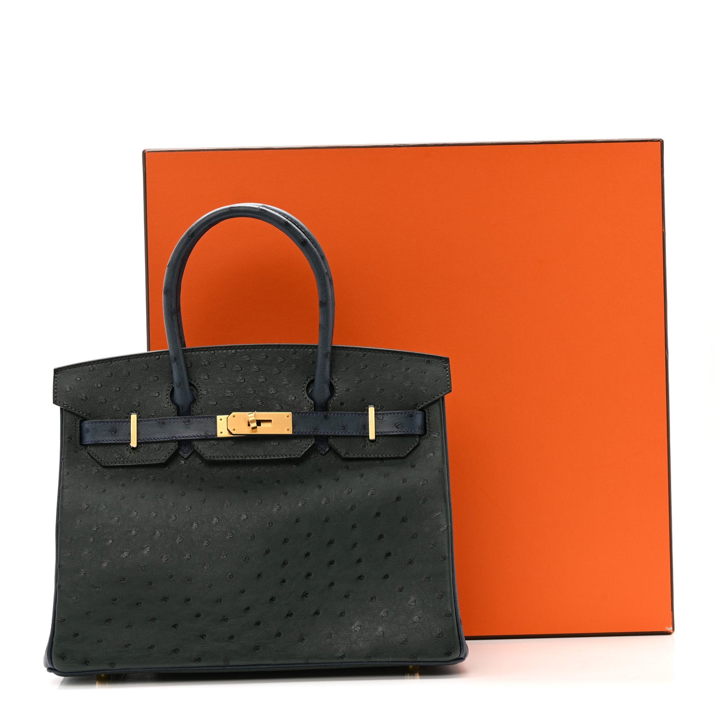Ostrich Horseshoe Birkin 30 Vert Titien Bleu Roi