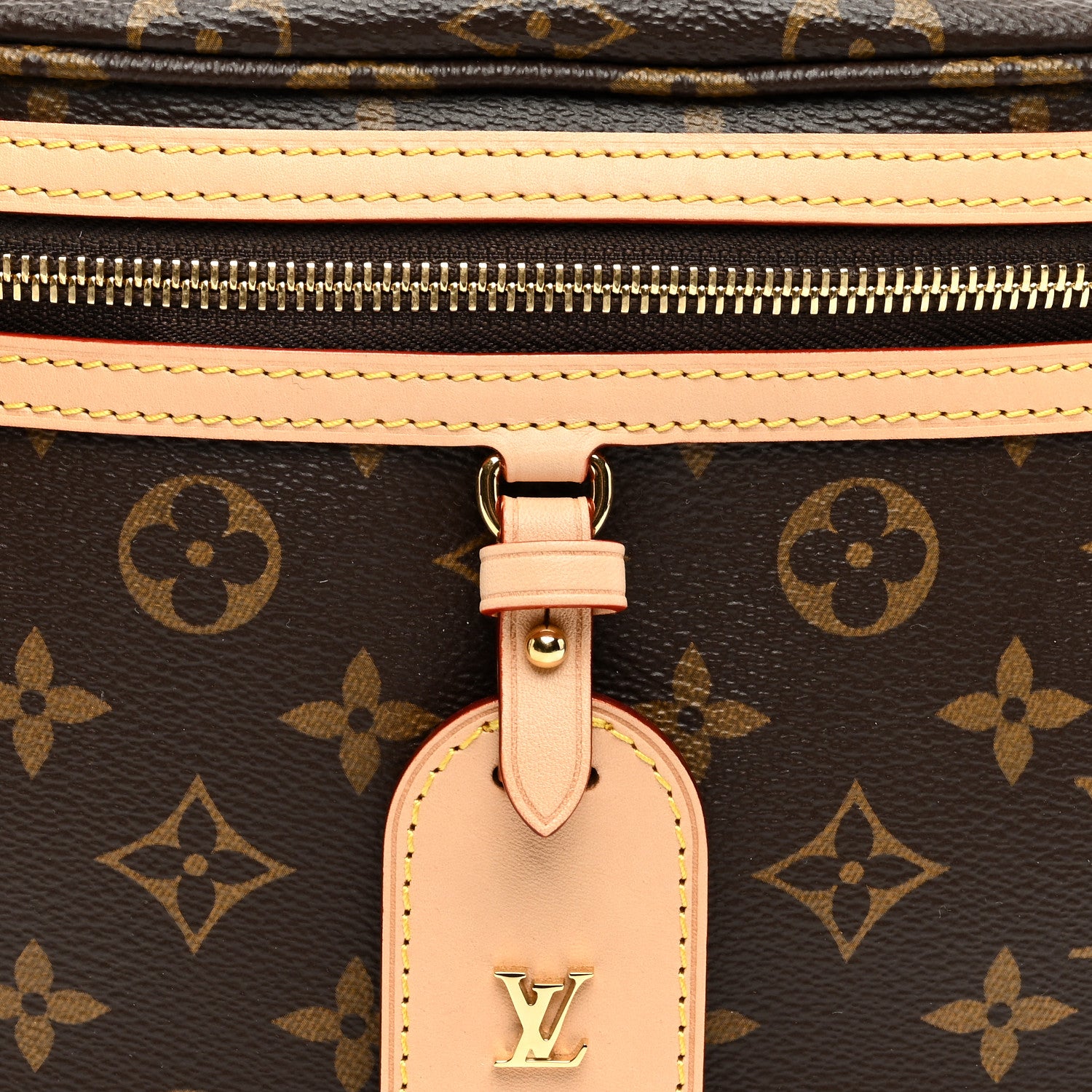 Louis Vuitton Monogram High Rise Bumbag 7 of 9
