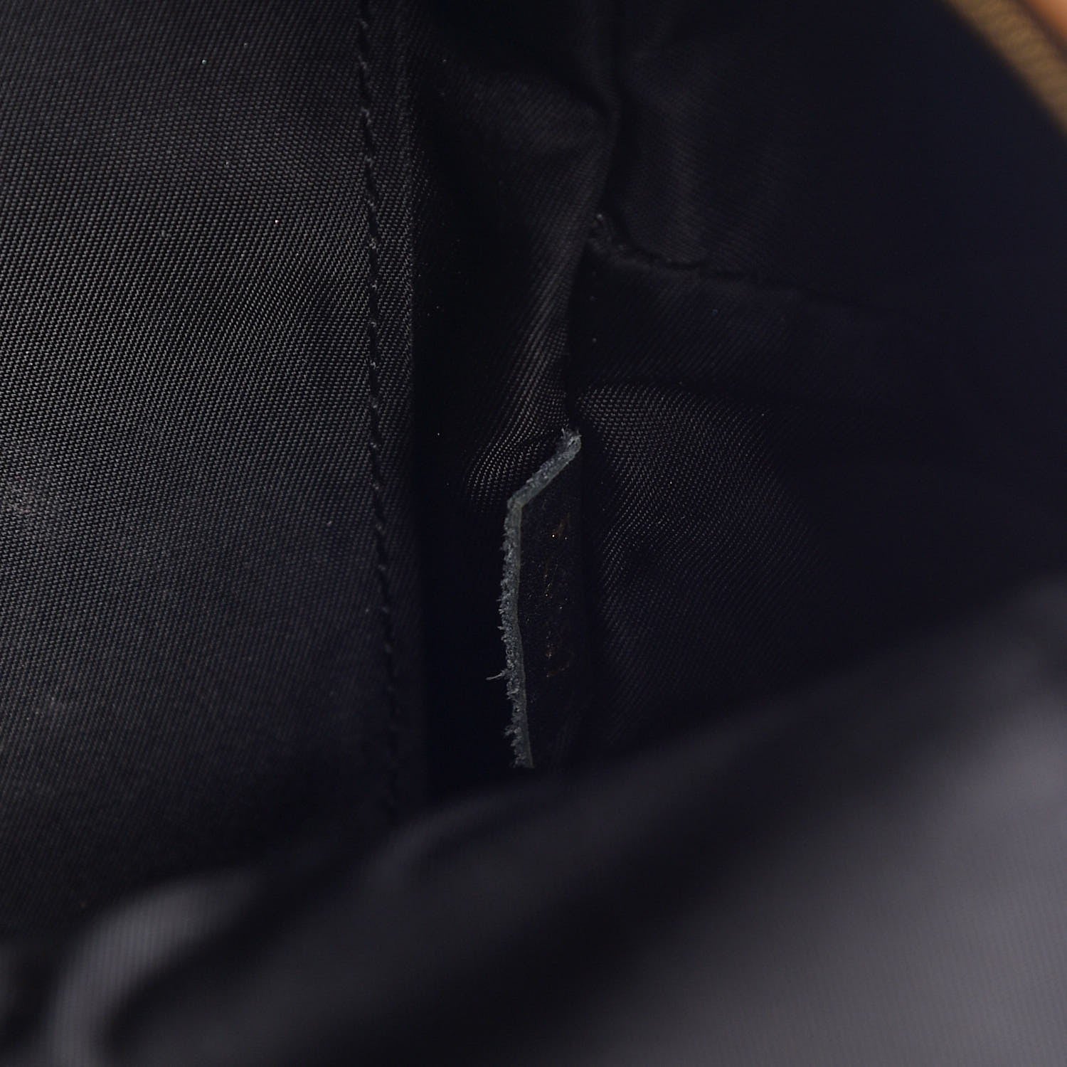 Louis Vuitton Reverse Monogram Palm Springs Backpack Mini 7 of 7