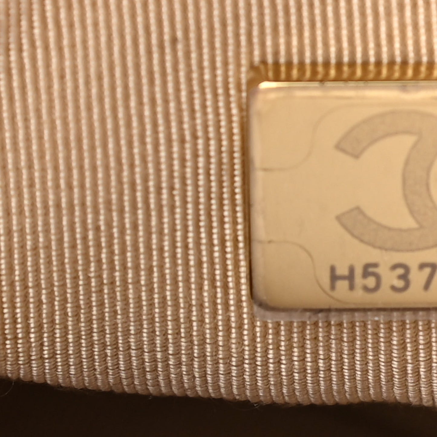 Lambskin Quilted Medium Chanel 19 Flap Light Beige