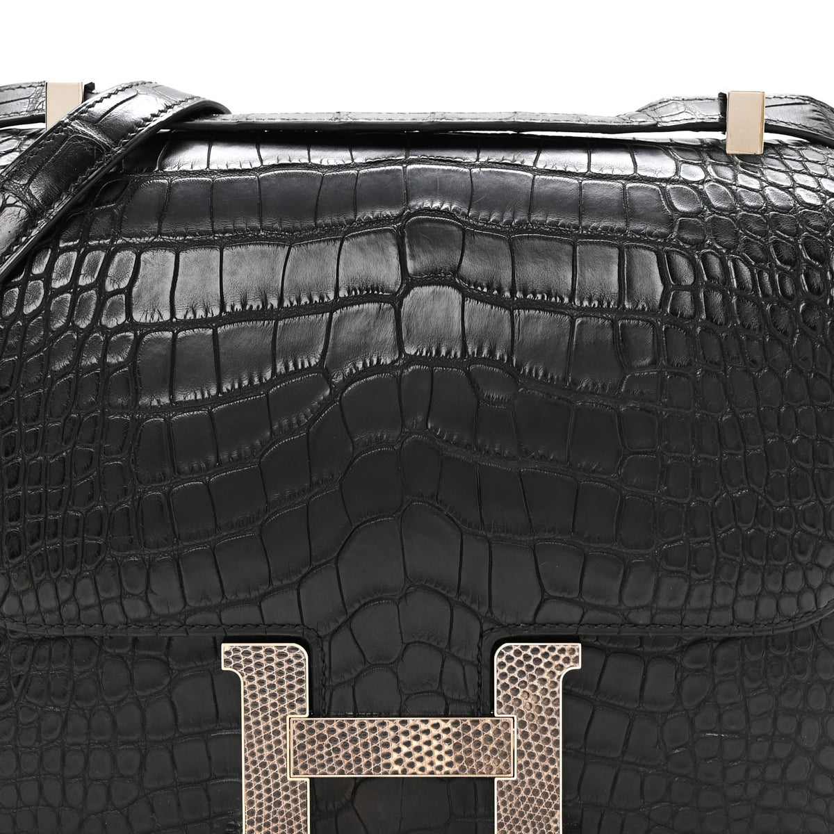 Matte Alligator Lizard Constance 24 Black Ombre