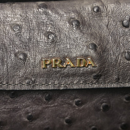 Prada Ostrich Double Bag Grey 6 of 9