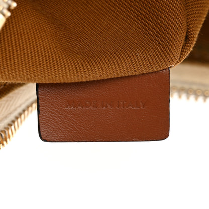 Celine Canvas Calfskin Ava Triomphe Shoulder Bag White 7 of 13