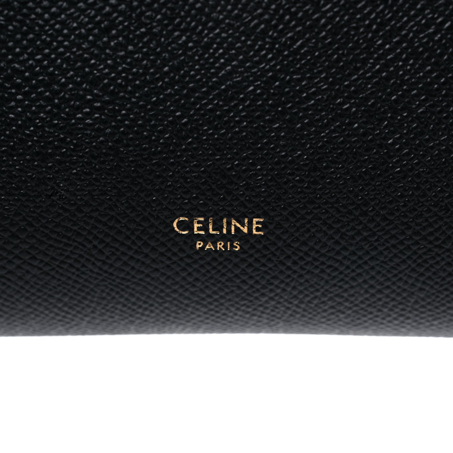 Grained Calfskin Pico Belt Bag Black