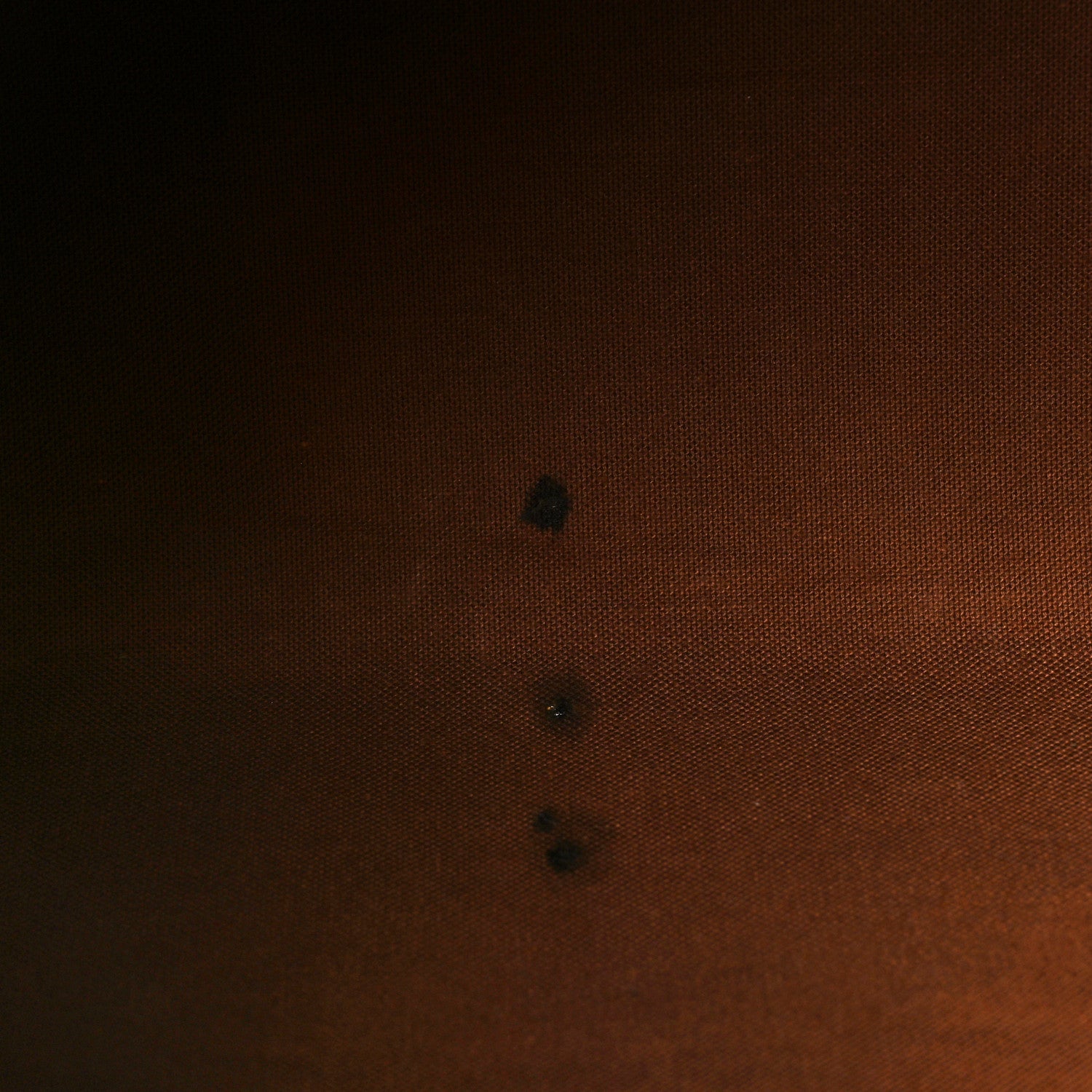 Louis Vuitton Monogram Speedy 35 15 of 16