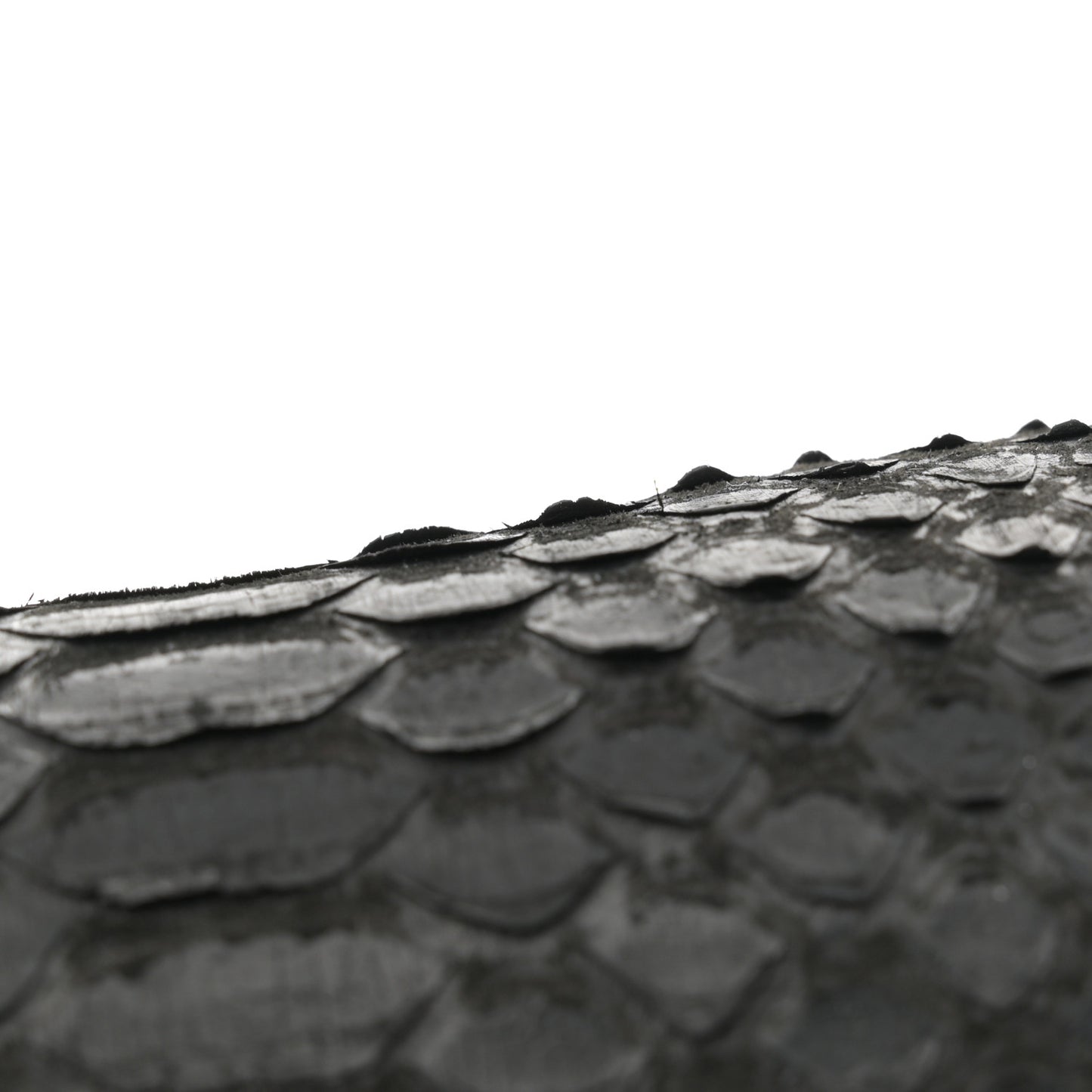 Snakeskin Medium Boy Flap Black