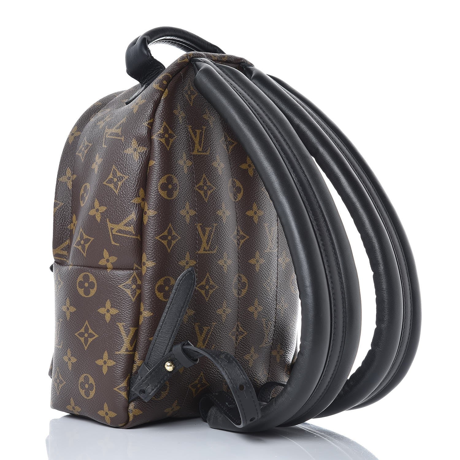 Louis Vuitton Monogram Palm Springs Backpack PM 3 of 7