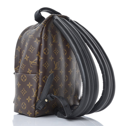 Louis Vuitton Monogram Palm Springs Backpack PM 3 of 7