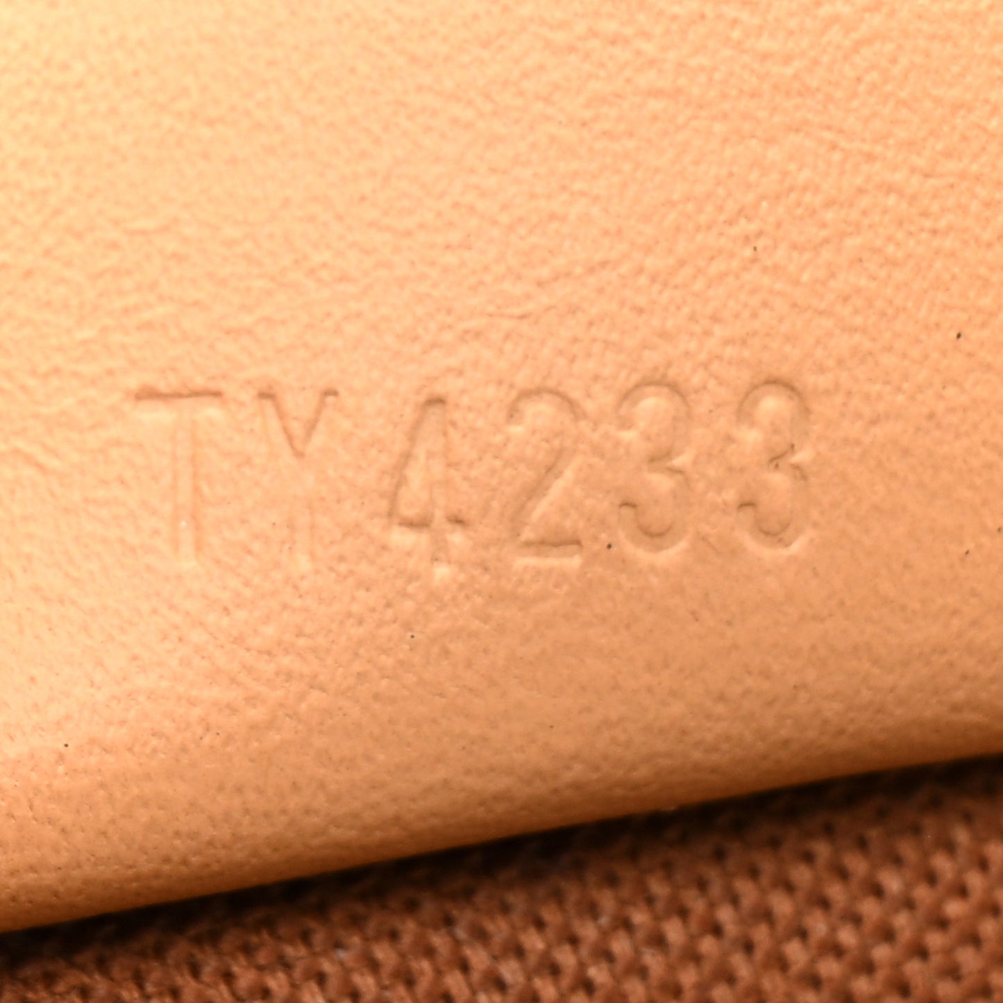 Monogram Nano Speedy Bandouliere