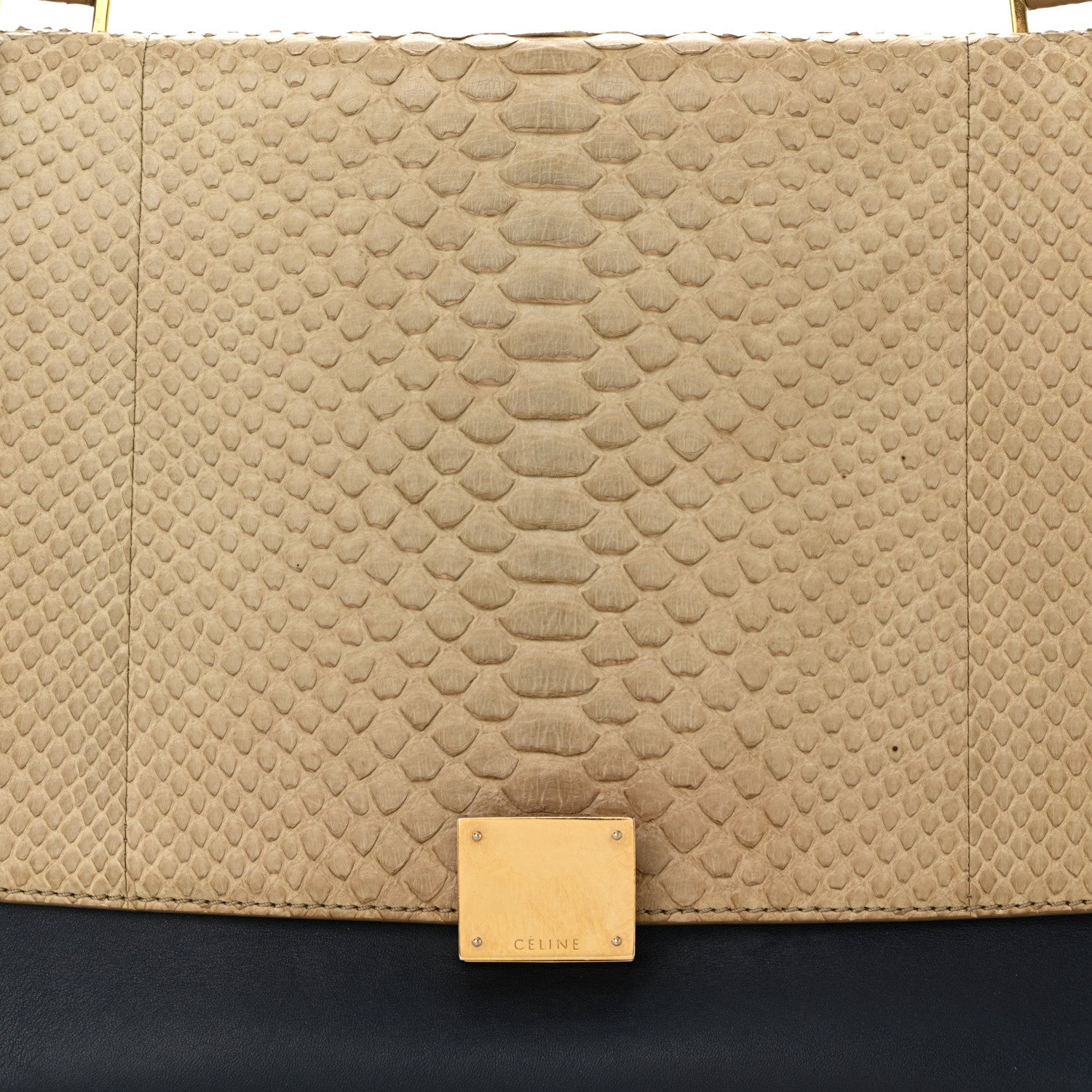 Celine Snakeskin Calfskin Medium Trapeze Natural Navy Blue 7 of 17