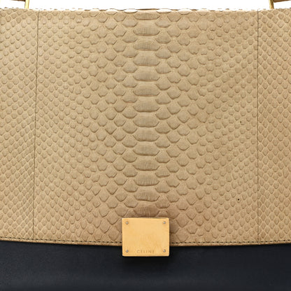 Celine Snakeskin Calfskin Medium Trapeze Natural Navy Blue 7 of 17