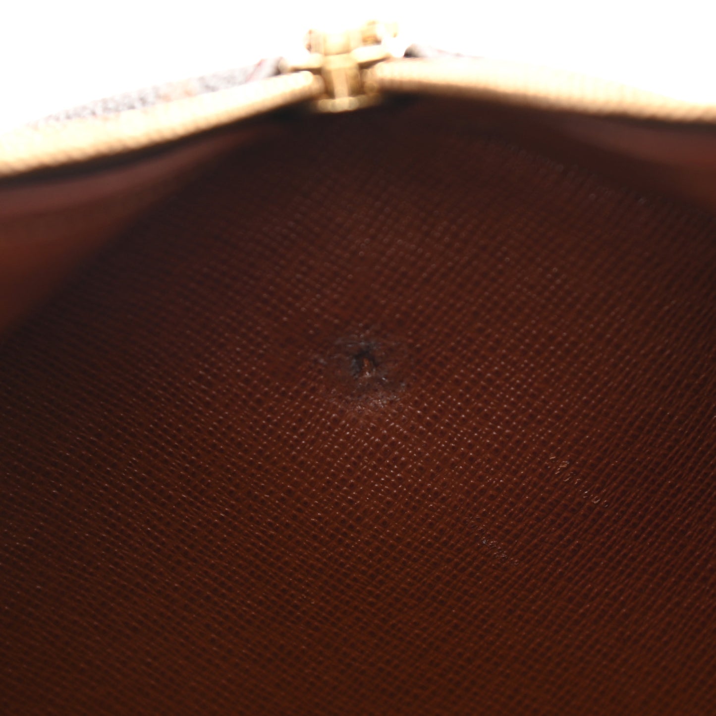 Monogram Papillon 30