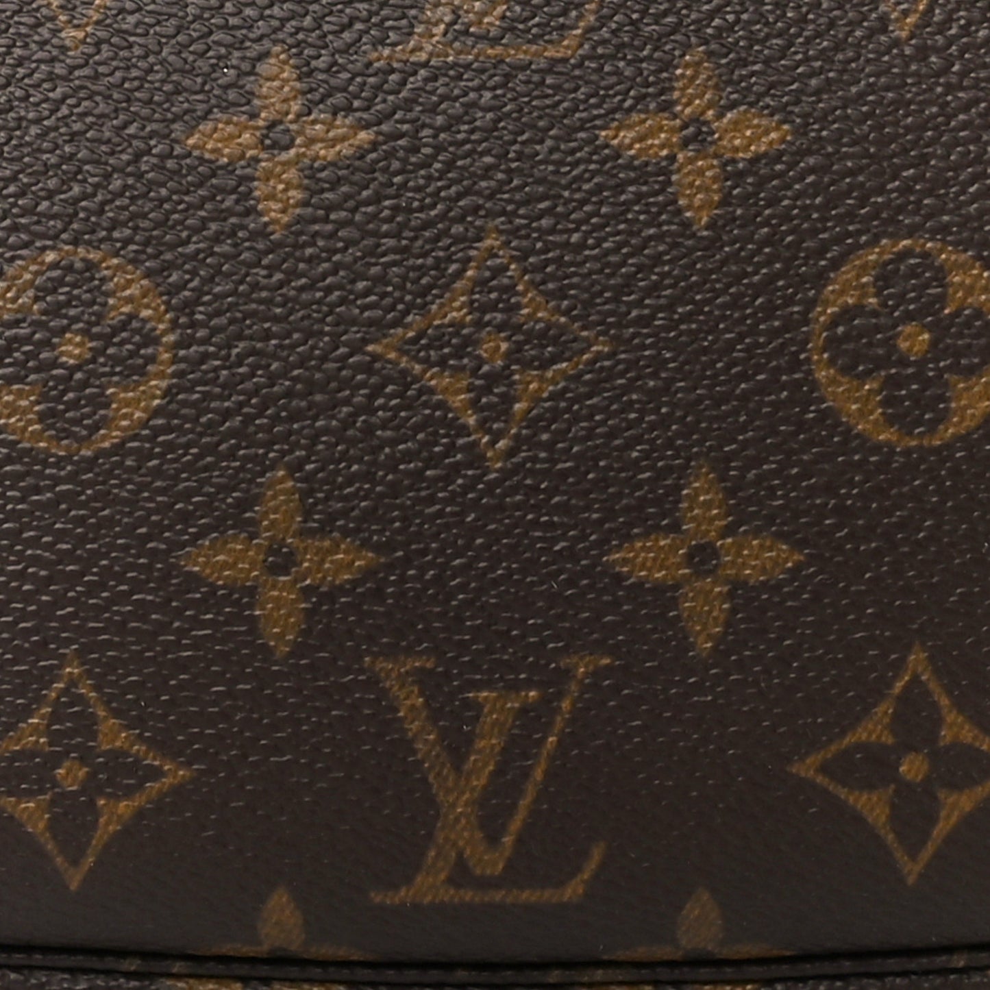 Monogram Pochette Accessories