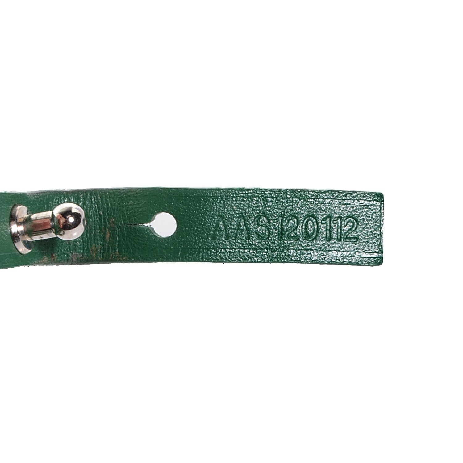 Goyard Goyardine Saint Louis GM Green 9 of 10