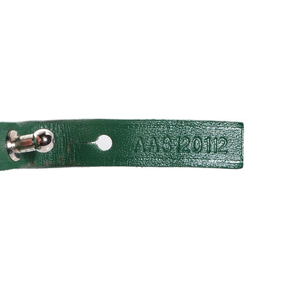 Goyard Goyardine Saint Louis GM Green 9 of 10