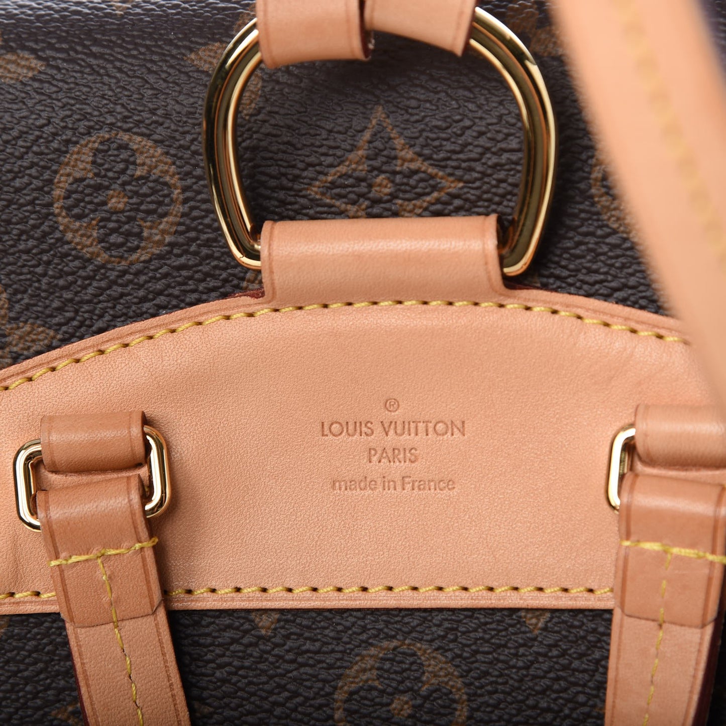 Monogram Montsouris NM Backpack