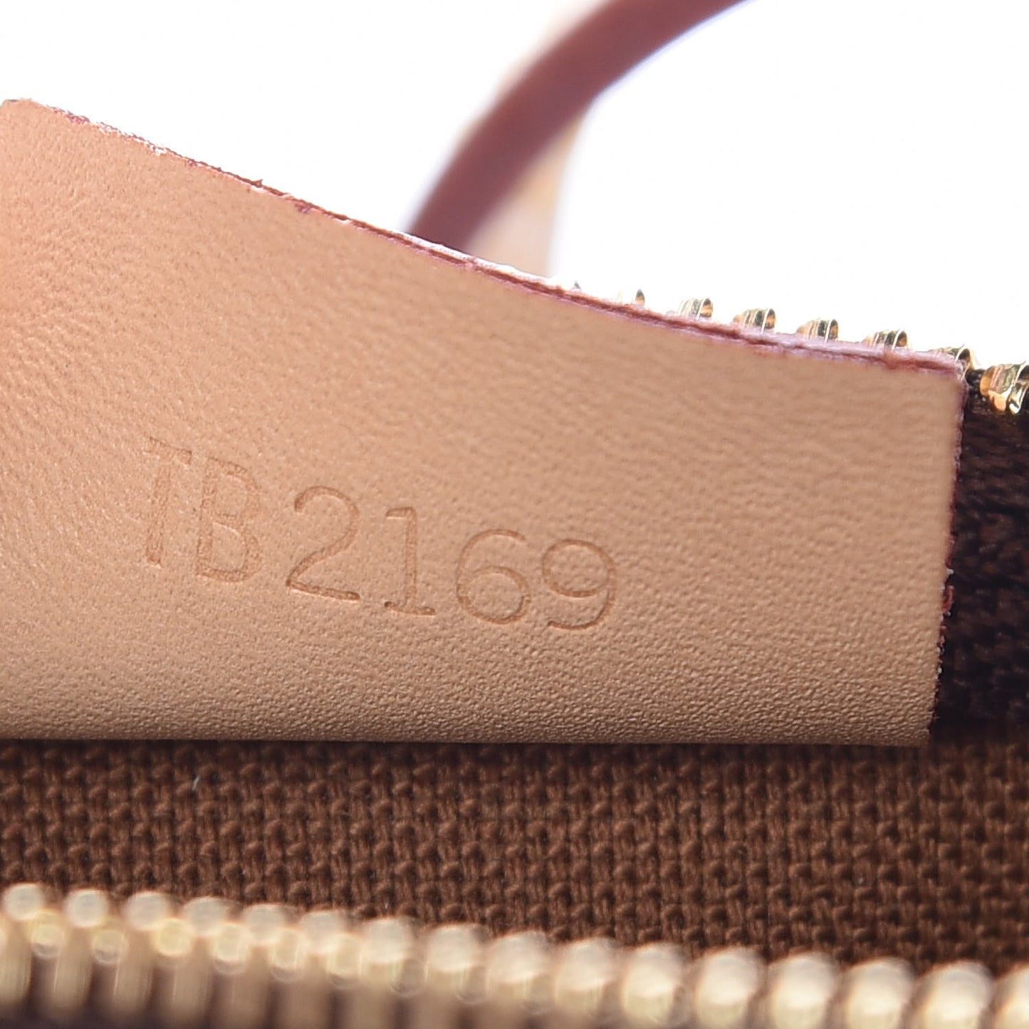 Monogram Nano Speedy