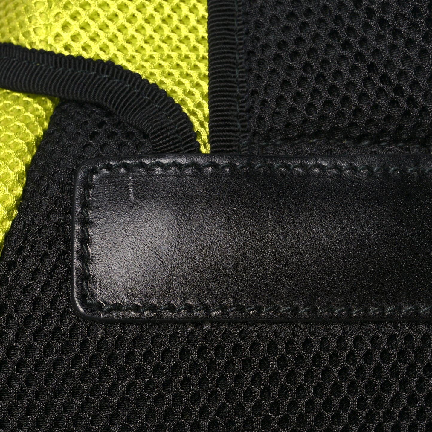 Mesh Web Hollywood Embroidered Double Buckle Backpack Anis Multicolor Black