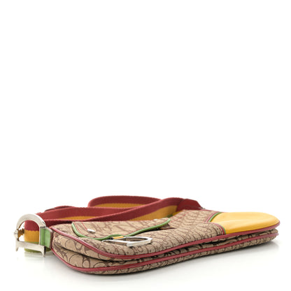 Christian Dior Monogram Rasta Double Saddle Beige 4 of 13