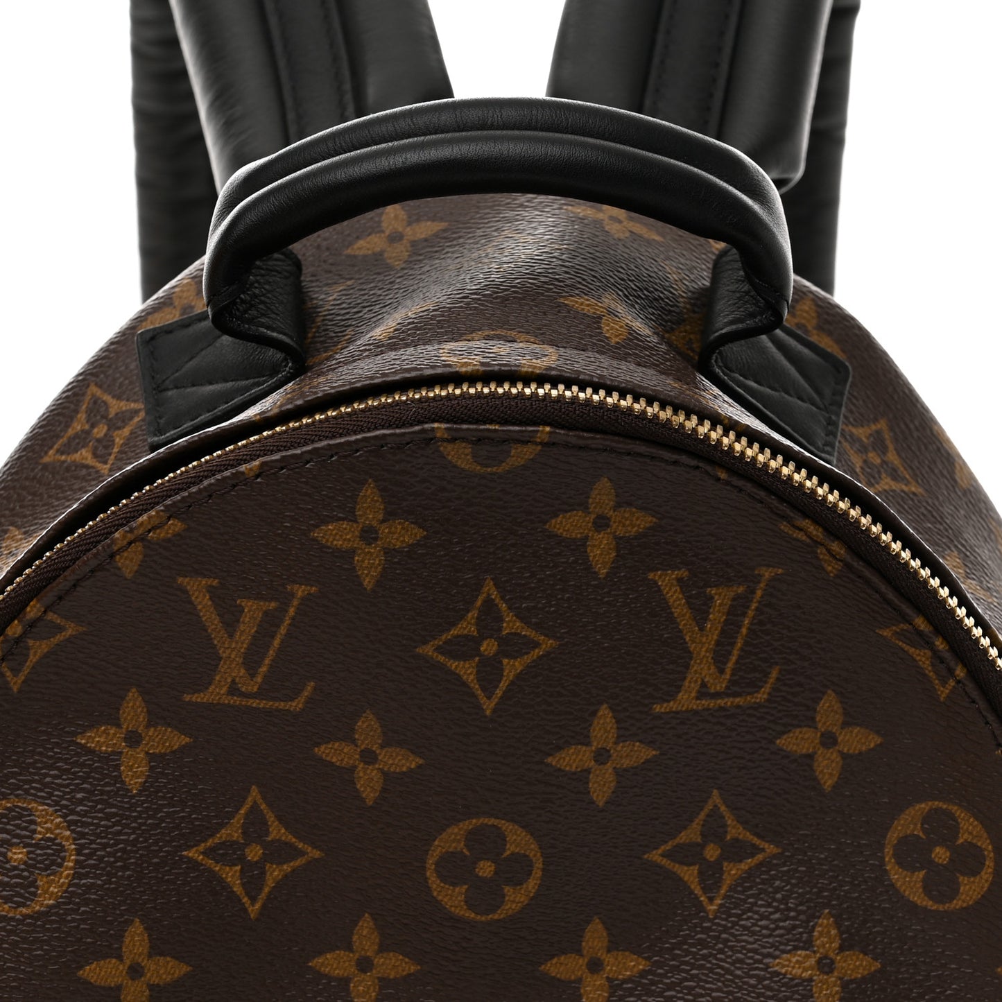 Monogram Palm Springs Backpack PM