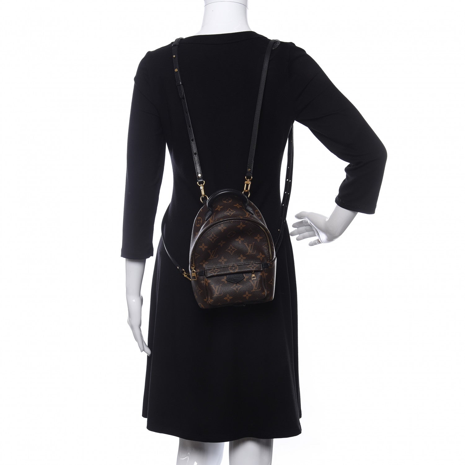 Louis Vuitton Monogram Palm Springs Backpack Mini 2 of 10