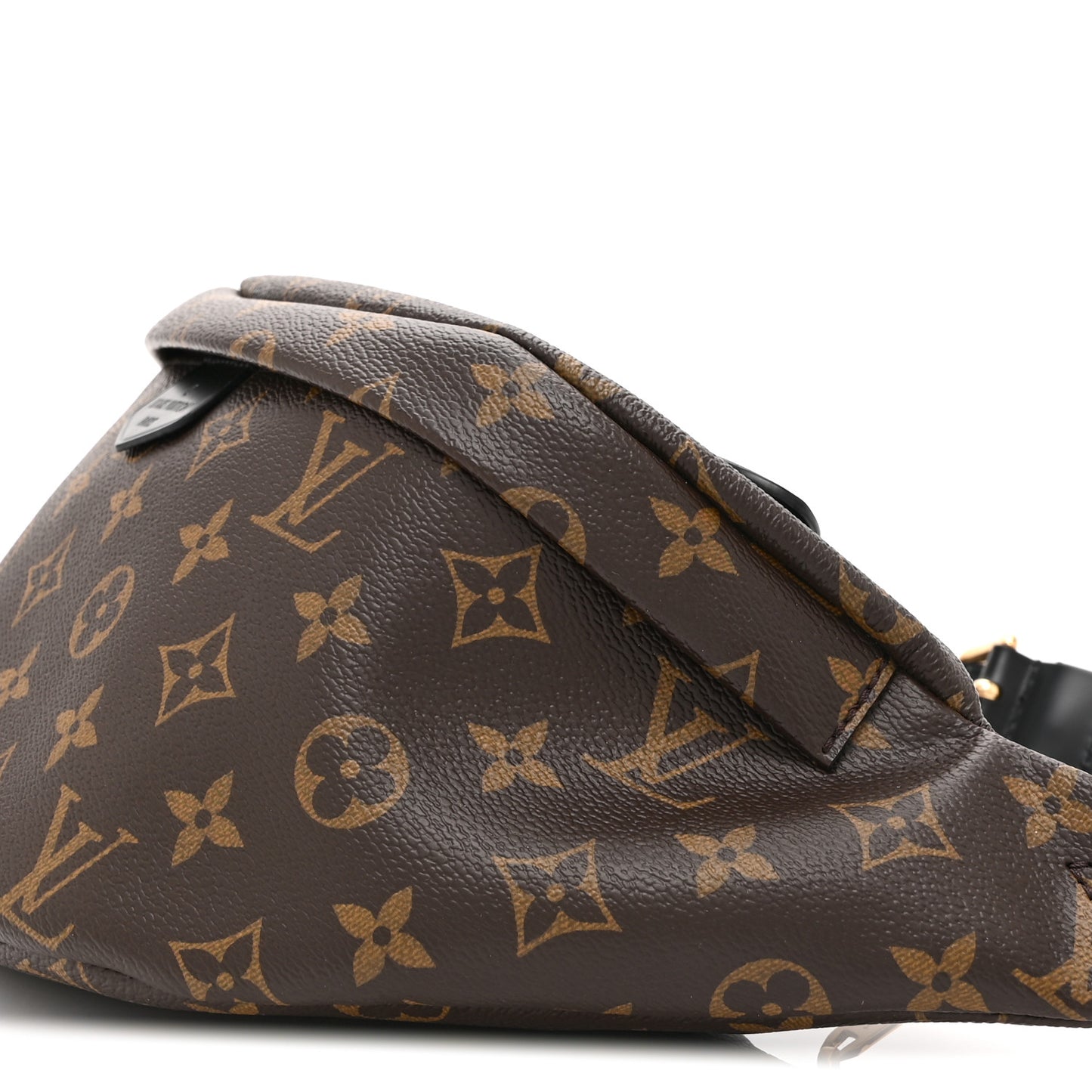 Monogram My LV World Tour Bumbag