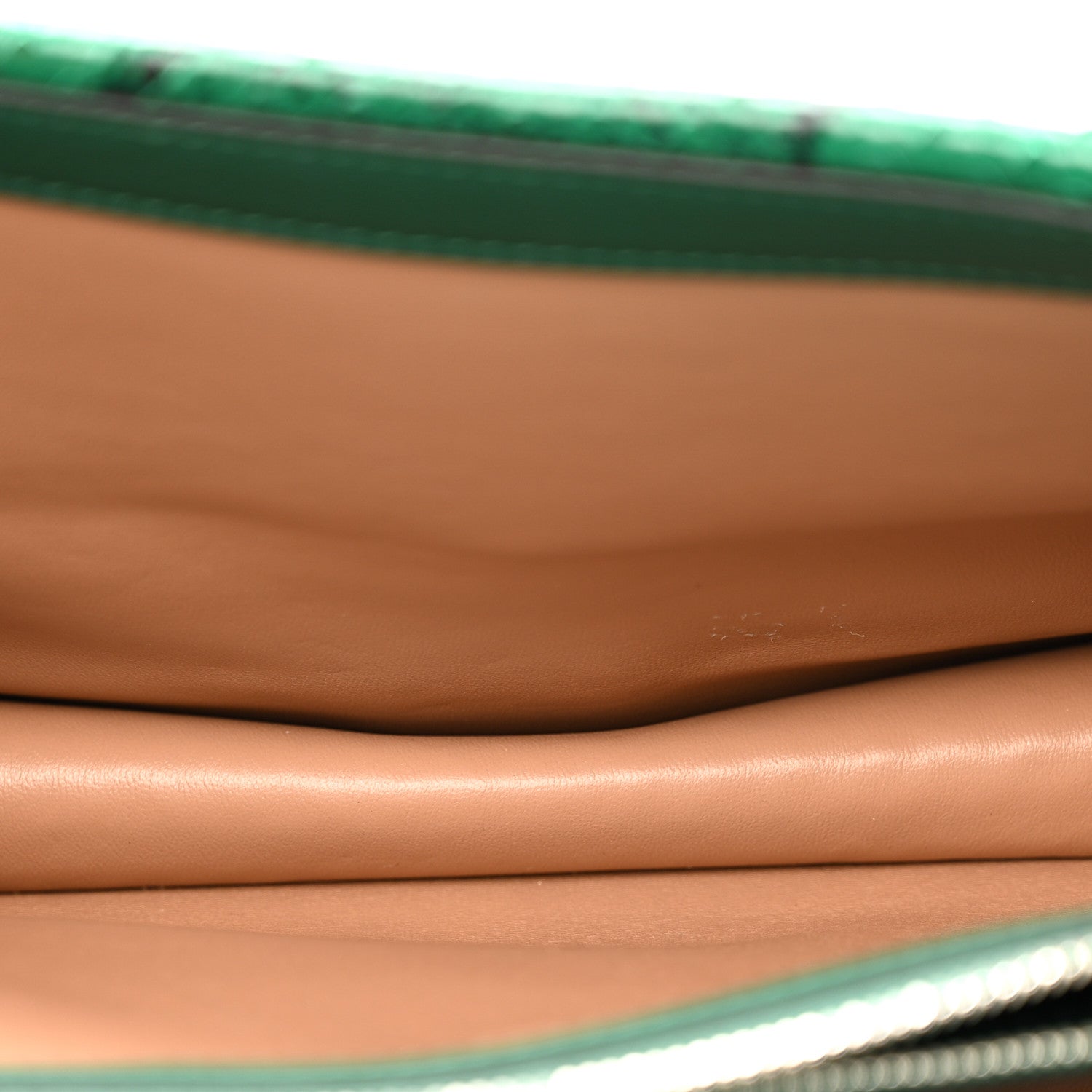 Gucci Snakeskin Small Dionysus Shoulder Bag Green 5 of 17