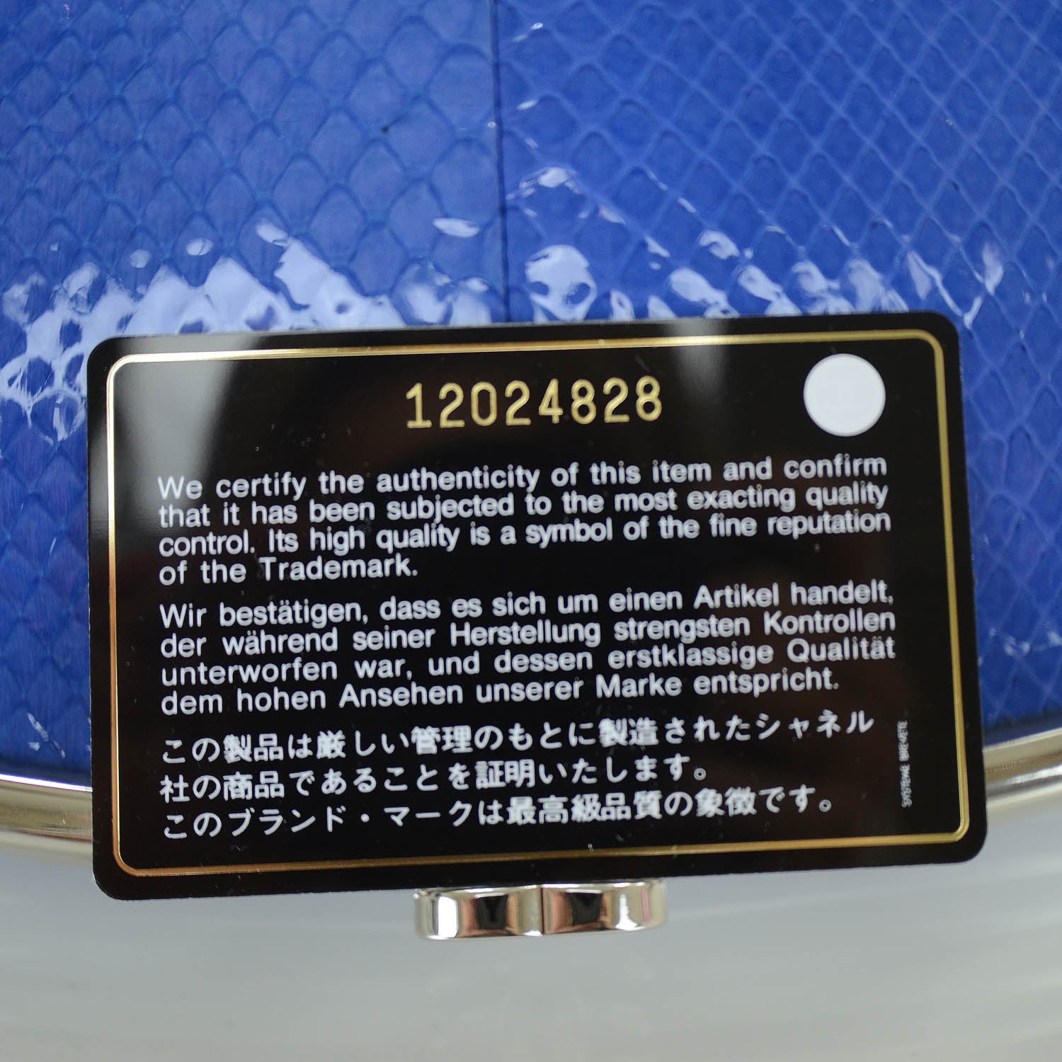 Chanel Glazed Python Timeless Clutch Blue 10 of 12