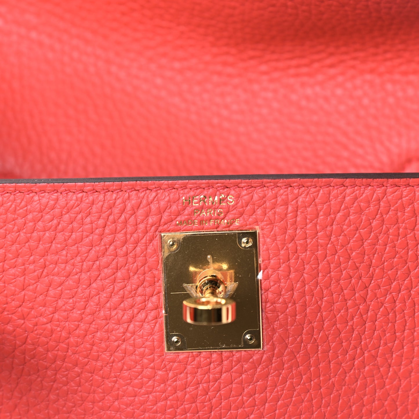 Taurillon Clemence Kelly Ado Backpack Bougainvillea
