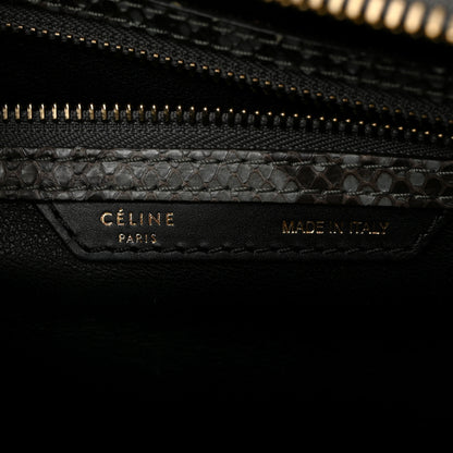 Celine Snakeskin Mini Luggage Grey 6 of 11