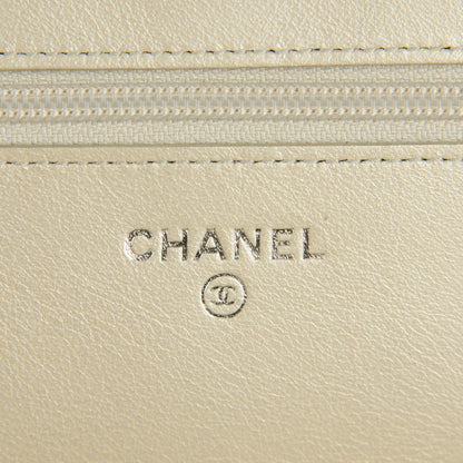 Chanel Caviar Sevruga Wallet on Chain WOC Silver 5 of 8