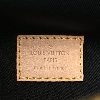 Louis Vuitton Monogram Bumbag 6 of 9