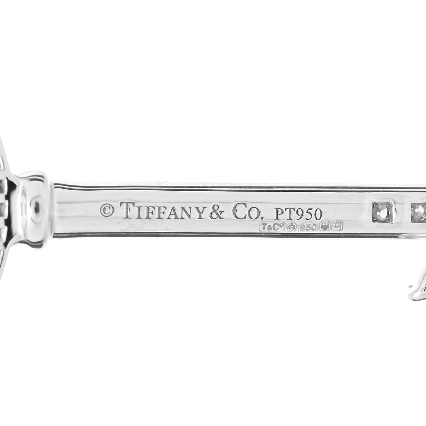 Platinum Diamond Garden Key Pendant