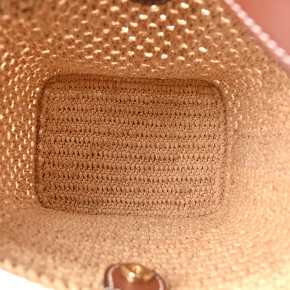 Louis Vuitton Raffia All In BB Brown 6 of 11