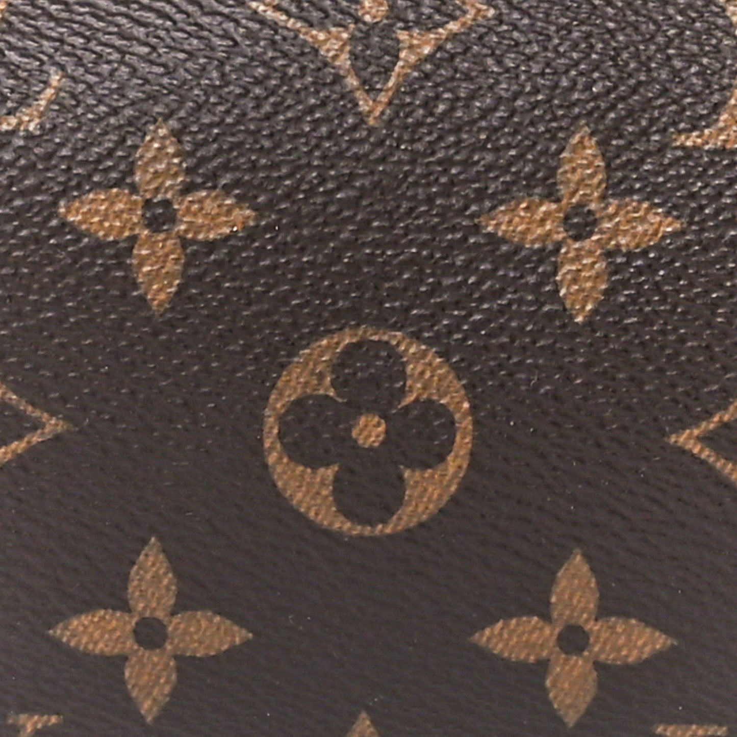 Monogram Nano Speedy