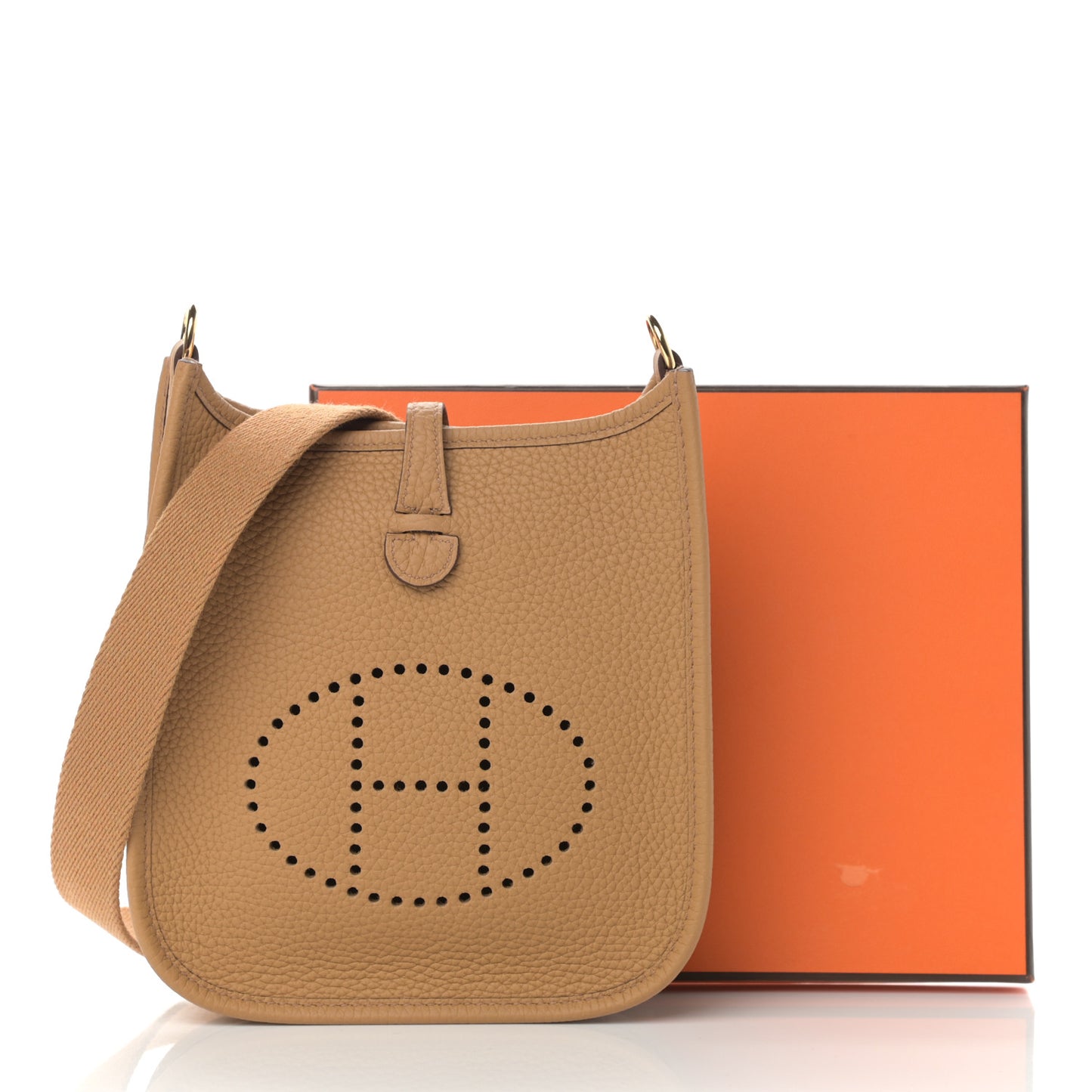 Taurillon Clemence Evelyne TPM Biscuit